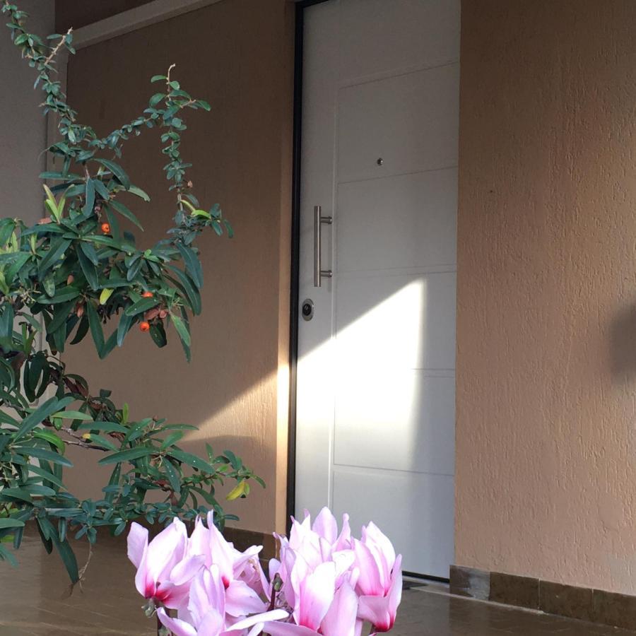 Casa Di Lucia B&B Ladispoli Kültér fotó